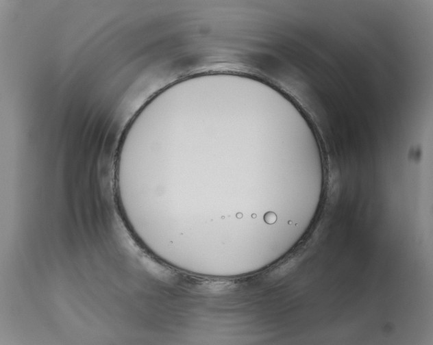 X0000113141282200910021431