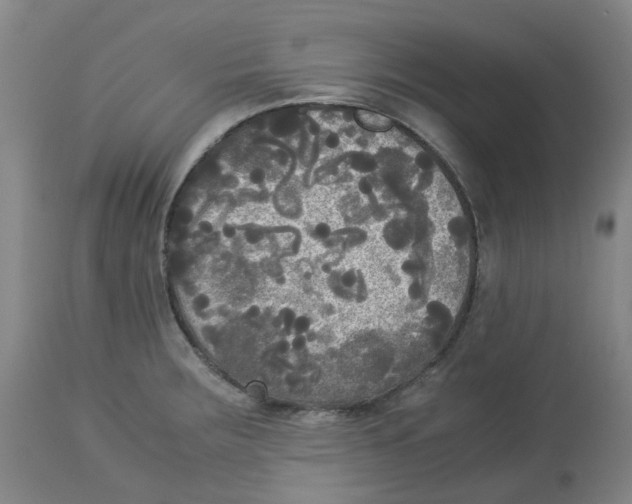 X0000113141283200910021431