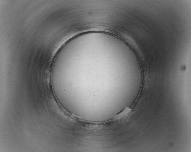 X0000113141284200910021431