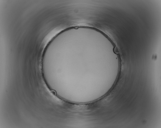 X0000113141285200910021431