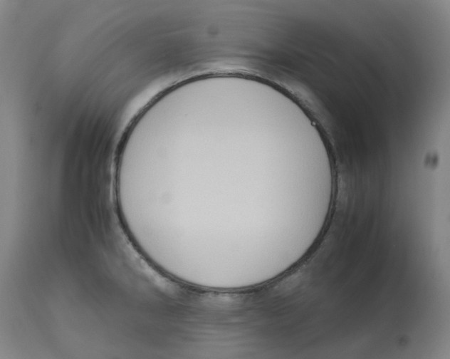 X0000113141286200910021431