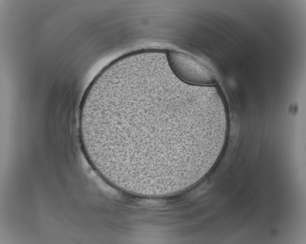 X0000113141287200910021431