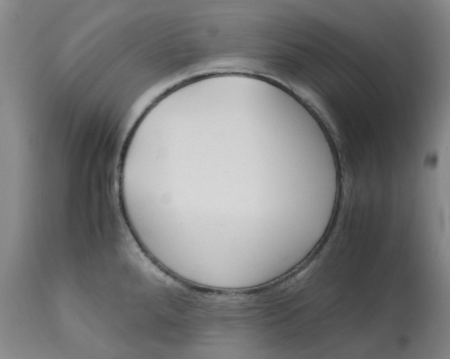 X0000113141288200910021431