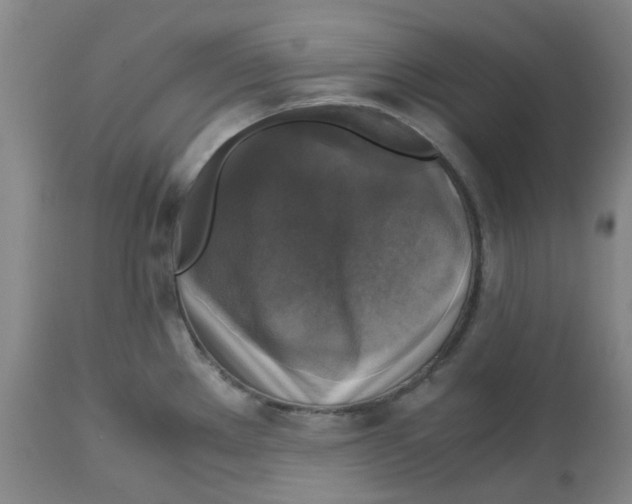 X0000113141289200910021431