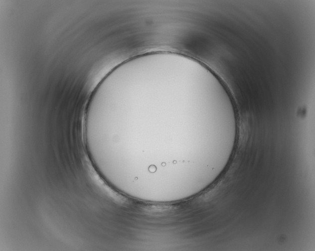 X0000113141290200910021431