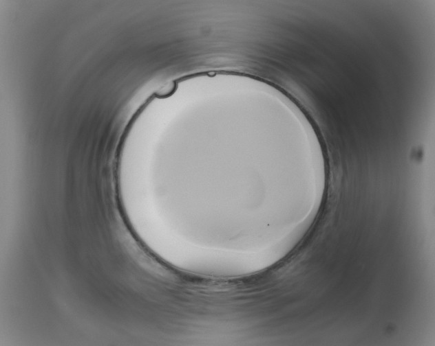 X0000113141291200910021431