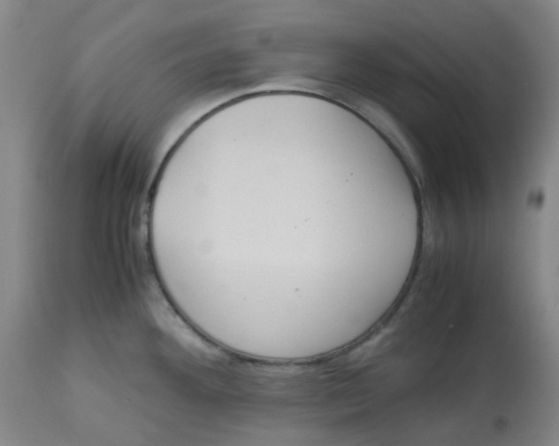 X0000113141292200910021431