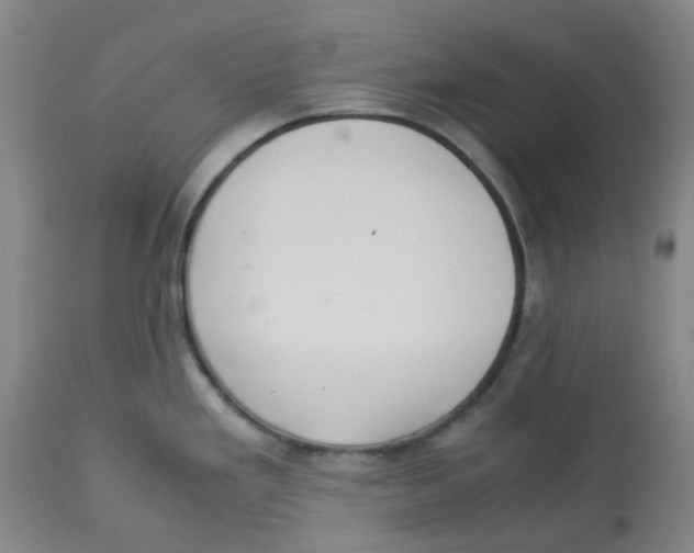 X0000113141293200910021431