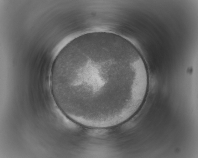 X0000113141294200910021431