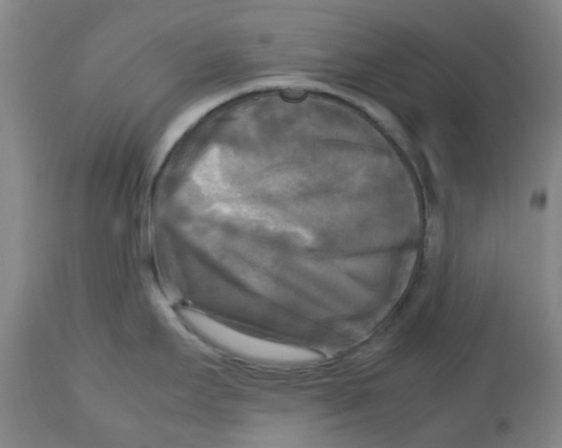X0000113141295200910021431