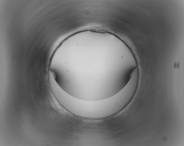 X0000113141296200910021431