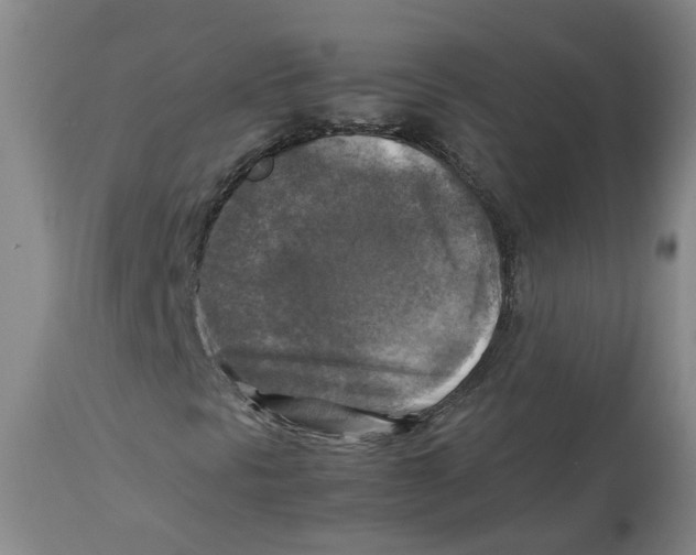 X0000113141297200910021430