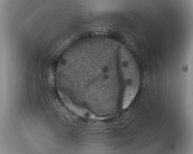 X0000113141298200910021430