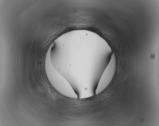 X0000113141300200910021430