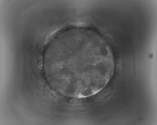 X0000113141301200910021430