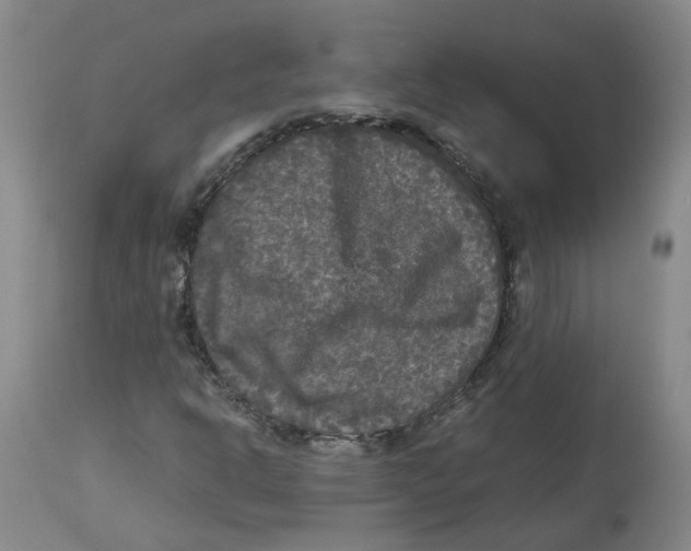 X0000113141302200910021430