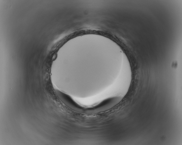 X0000113141303200910021430