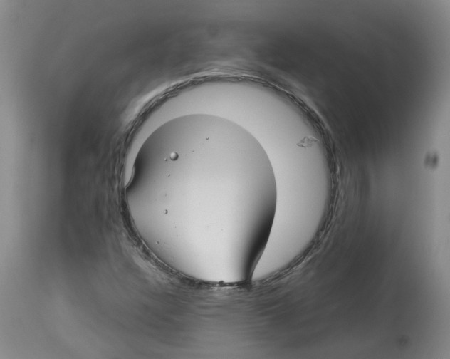 X0000113141304200910021430