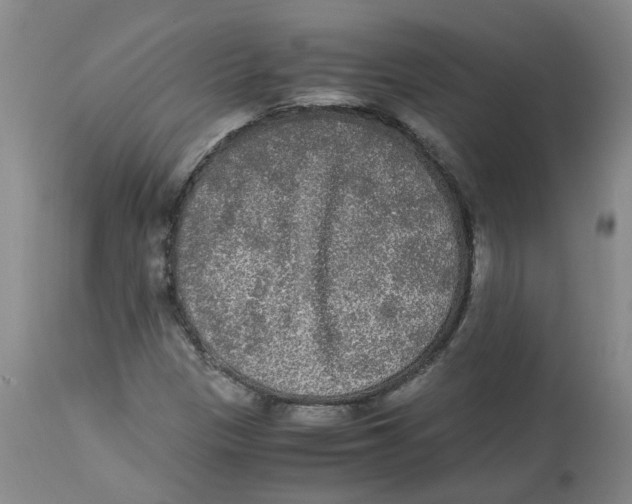 X0000113141305200910021430