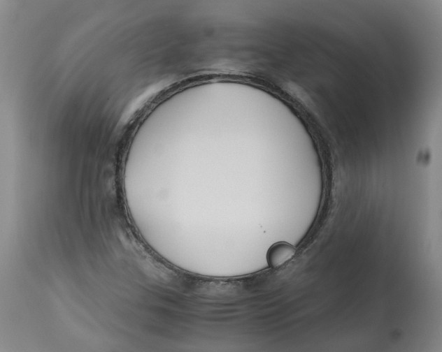 X0000113141307200910021430