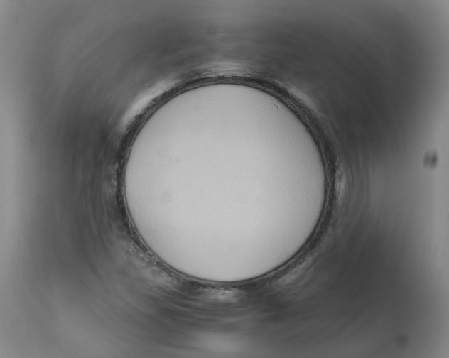 X0000113141309200910021430