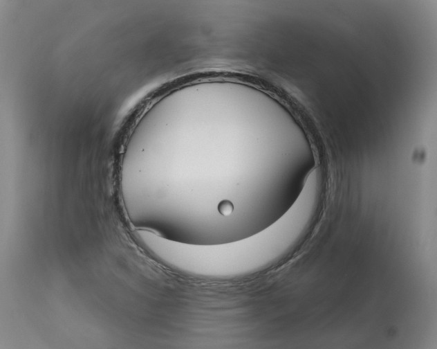 X0000113141310200910021430