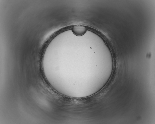 X0000113141311200910021430