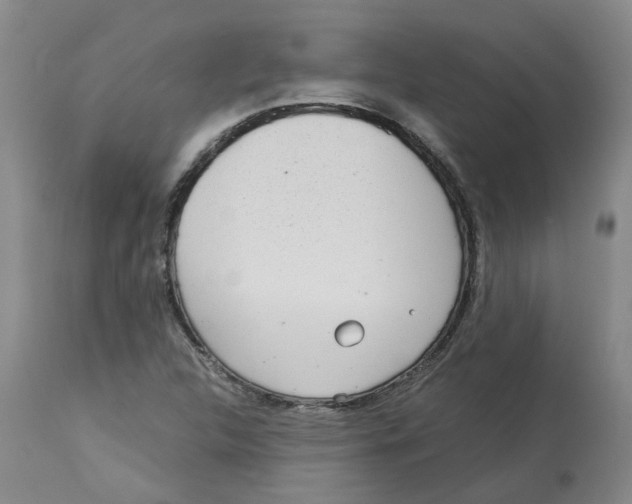 X0000113141312200910021430