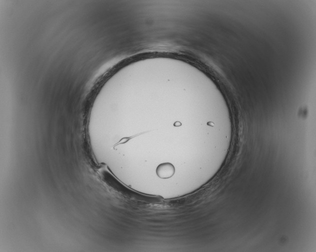 X0000113141315200910021430