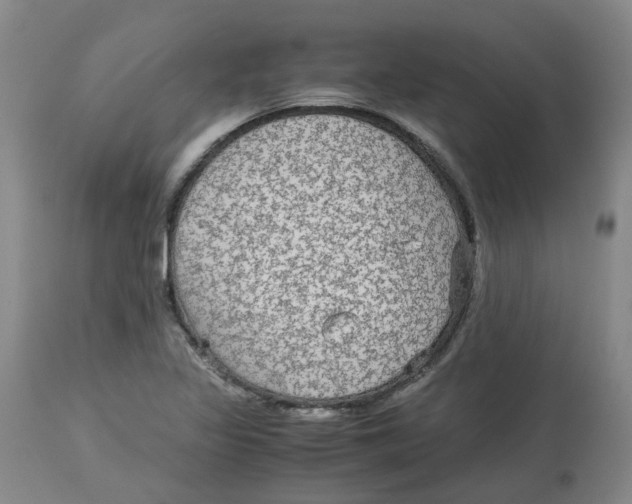 X0000113141317200910021430