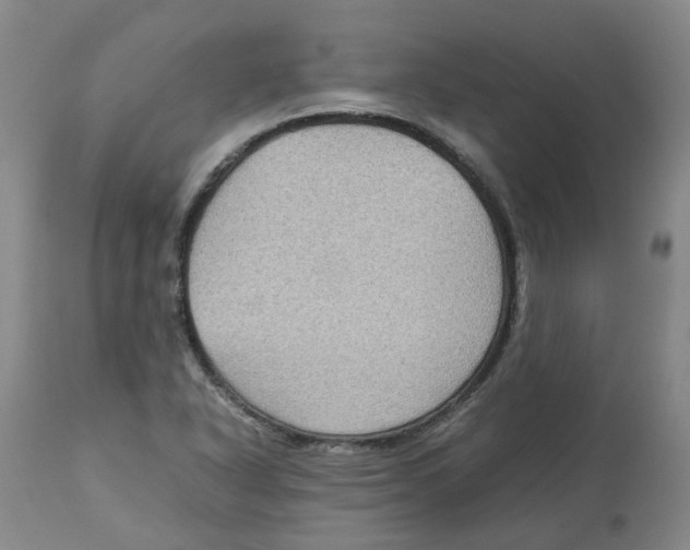 X0000113141318200910021430