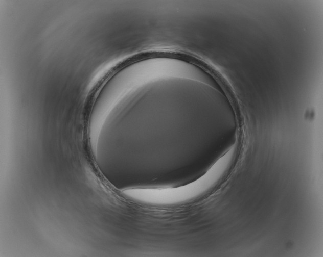 X0000113141319200910021430