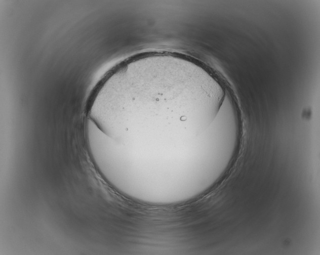 X0000113141320200910021430