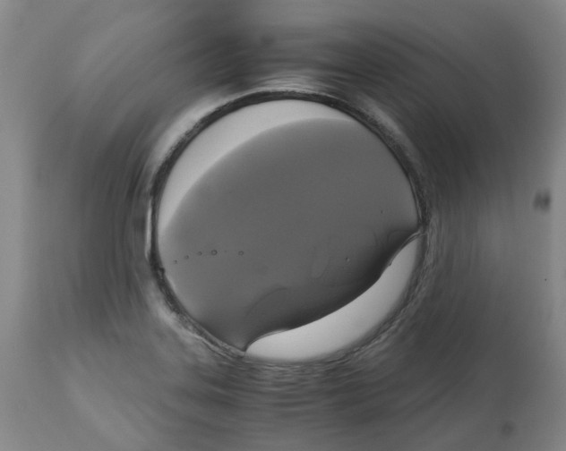 X0000113141323200910021430