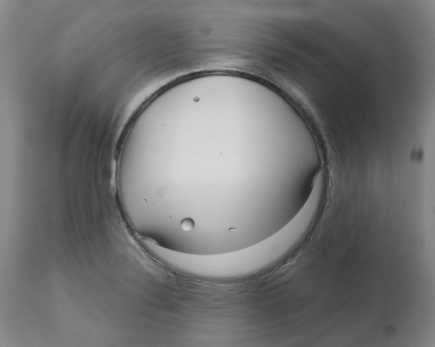 X0000113141324200910021430