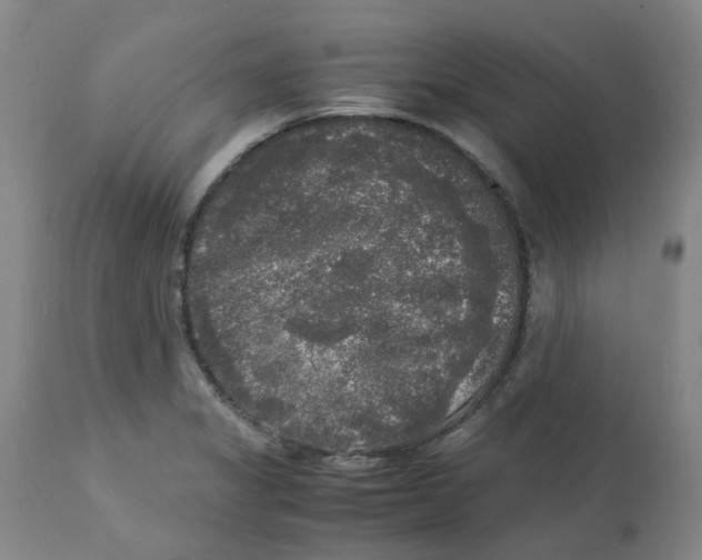 X0000113141325200910021430