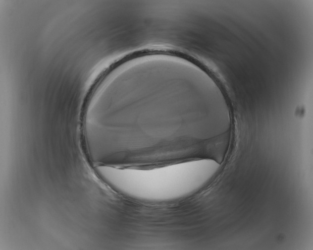 X0000113141327200910021430