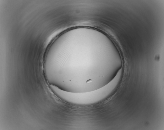 X0000113141328200910021430