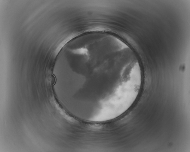 X0000113141329200910021430