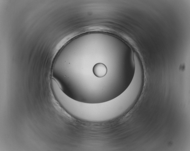 X0000113141330200910021430