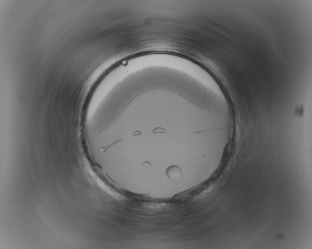 X0000113141331200910021431