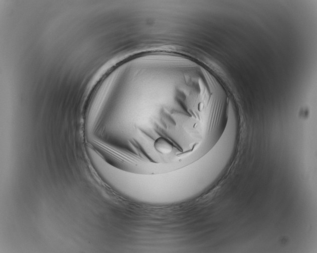 X0000113141332200910021431