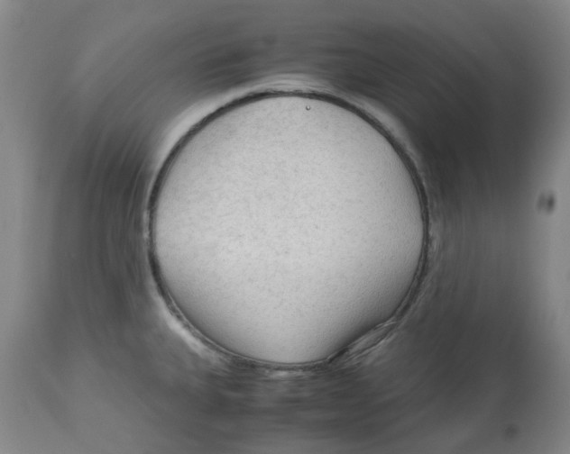X0000113141335200910021431