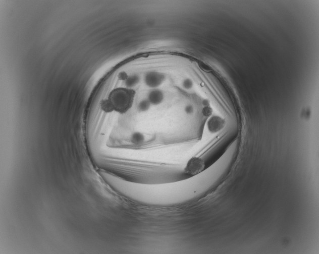 X0000113141336200910021431