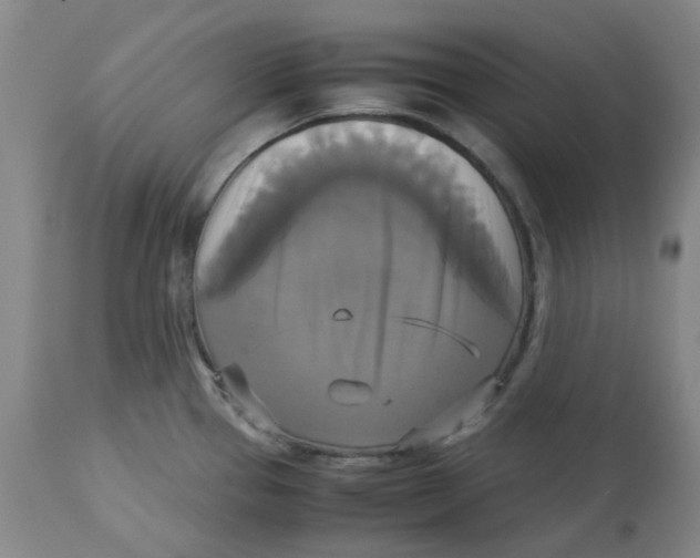 X0000113141337200910021431