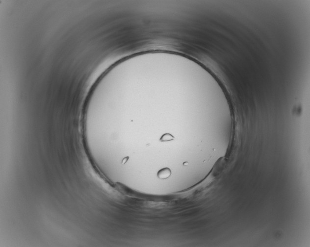 X0000113141339200910021431