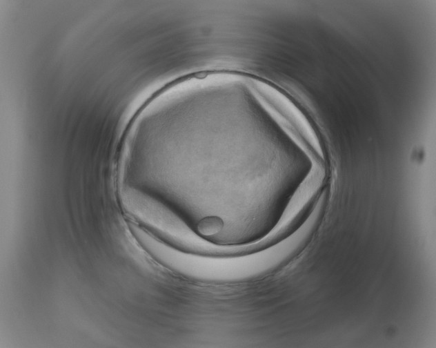 X0000113141340200910021431