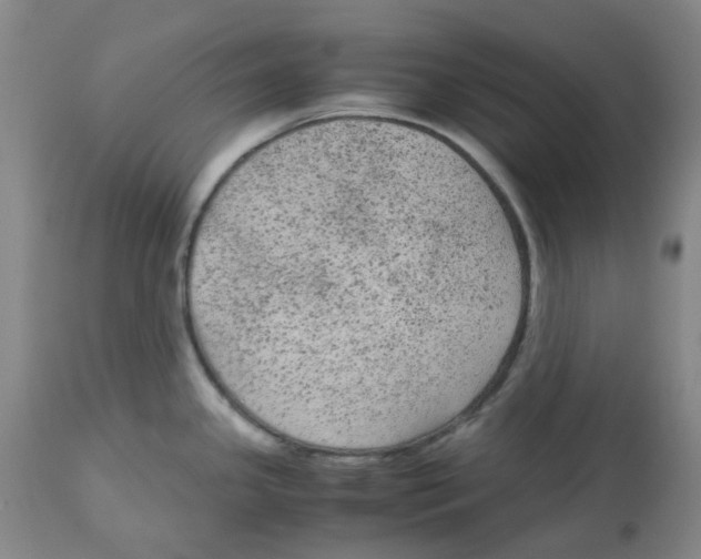 X0000113141341200910021431