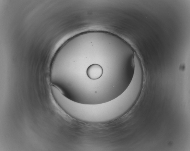X0000113141342200910021431