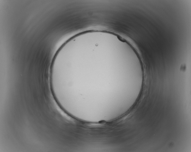X0000113141343200910021431